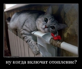 Отопление